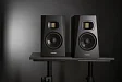 - рис.3 Студийный монитор ADAM AUDIO T5V - рис.3