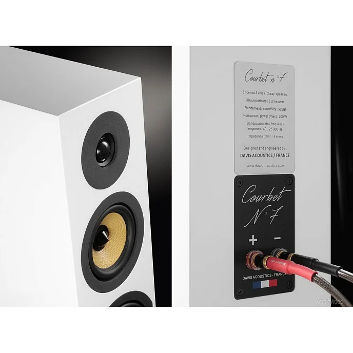 Напольная акустика Davis Acoustics Courbet N 7 White - рис.7