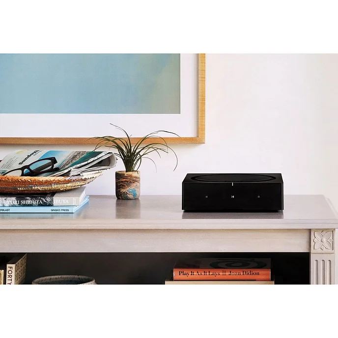 Интегральный усилитель Sonos Amp - рис.9