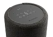 Портативная колонка Audio Pro G10 Dark Grey - рис.2