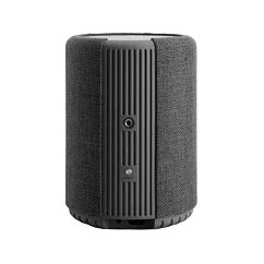 Портативная колонка Audio Pro A10 MKII Dark Grey