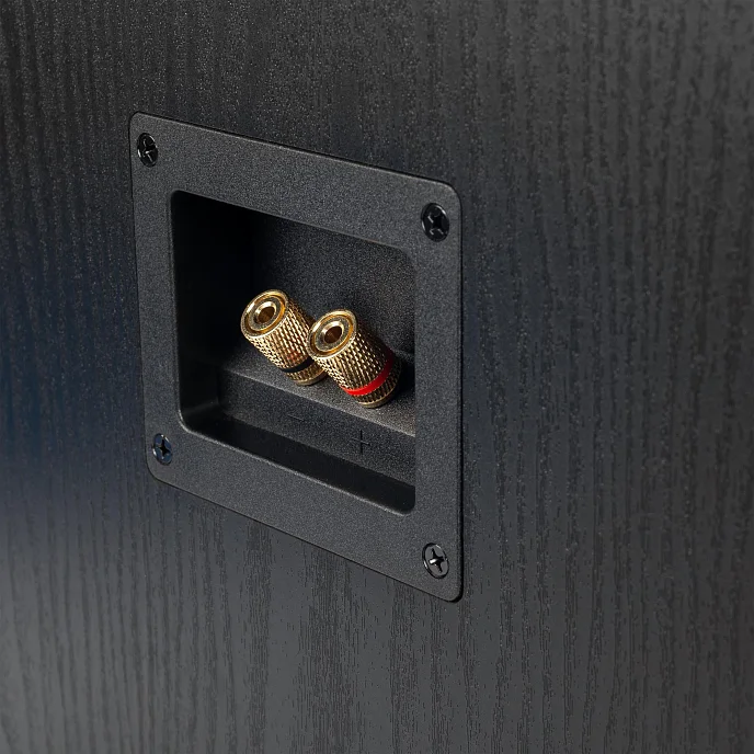 Полочная акустика Radiotehnika Sigma 1.01 Black Ash - рис.12