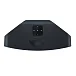 Беспроводная акустика Bluesound Pulse mini 2i Black - рис.2