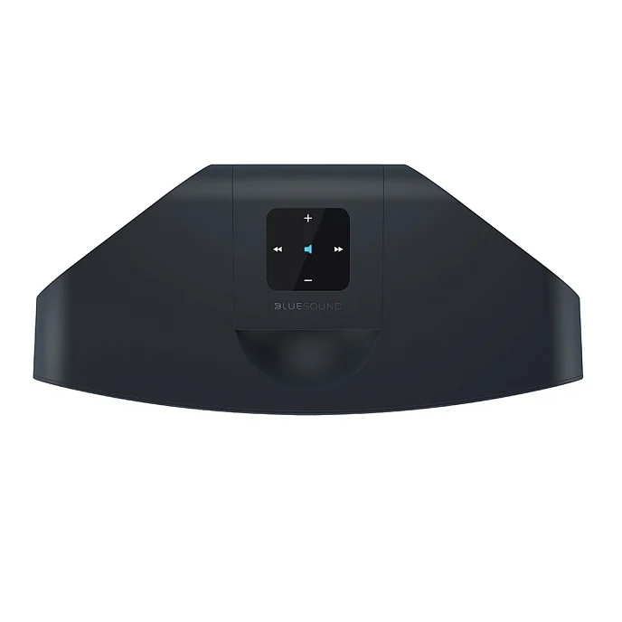Беспроводная акустика Bluesound Pulse mini 2i Black - рис.2