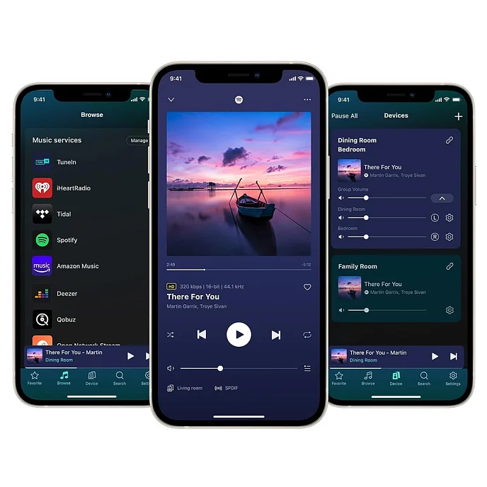 Интегральный усилитель WiiM AMP Space Gray - рис.13