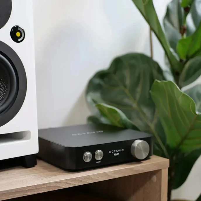 Усилитель Octavio Amp 65W Black - рис.6