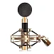 Микрофон студийный iCON Aurora Black Gold - рис.1