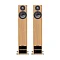 PMC Twenty5 24i Oak