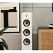 Напольная акустика Polk Audio Signature Elite ES60 White - рис.10 Напольная акустика Polk Audio Signature Elite ES60 White - рис.10