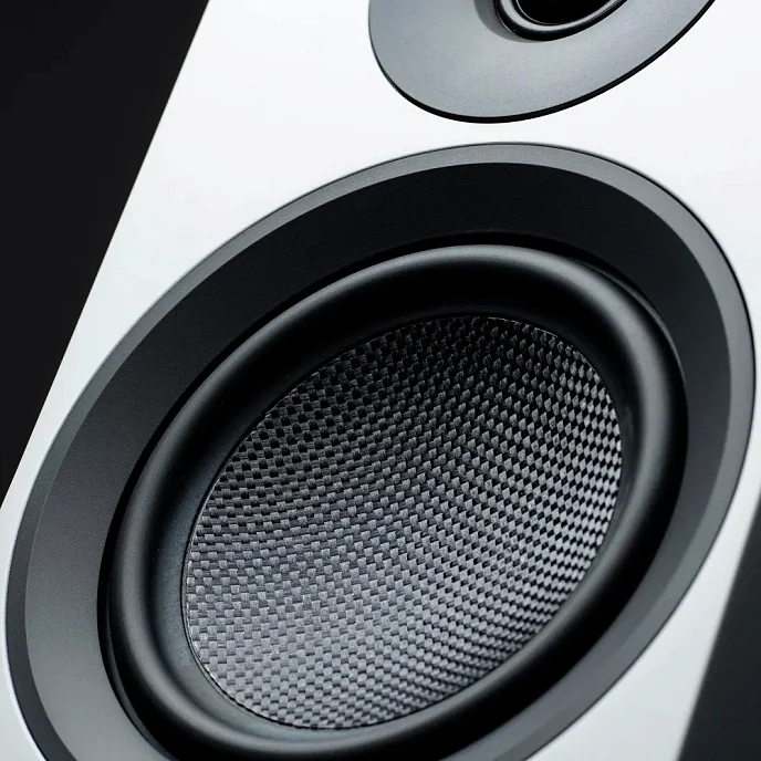 Напольная акустика Pro-Ject Speaker Box 10 E Carbon Walnut - рис.2