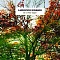 Ludovico Einaudi – In A Time Lapse - 2LP