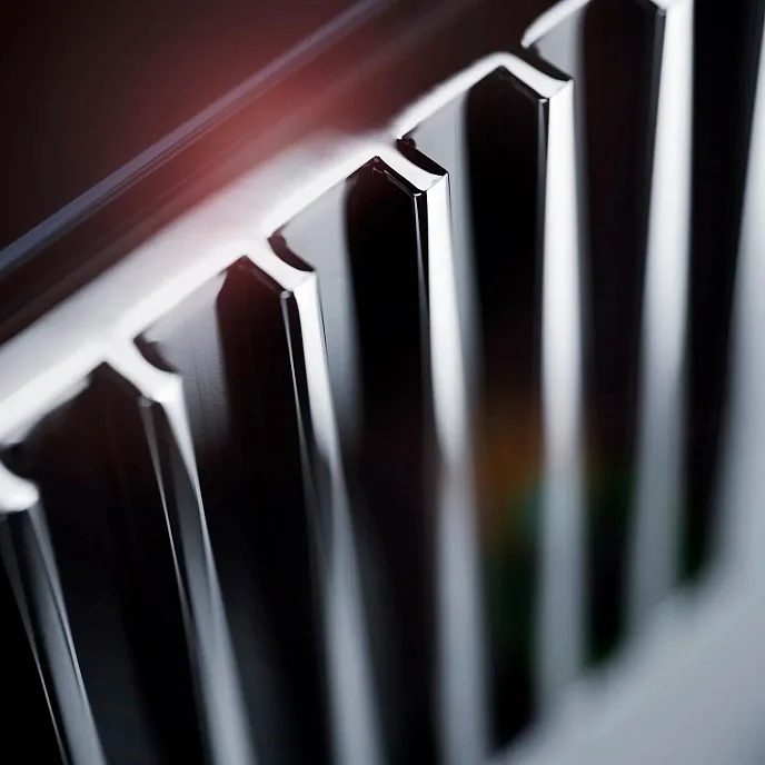 Усилитель мощности MBL N21 Stereo Power Amplifier Piano Black Palinux - рис.4