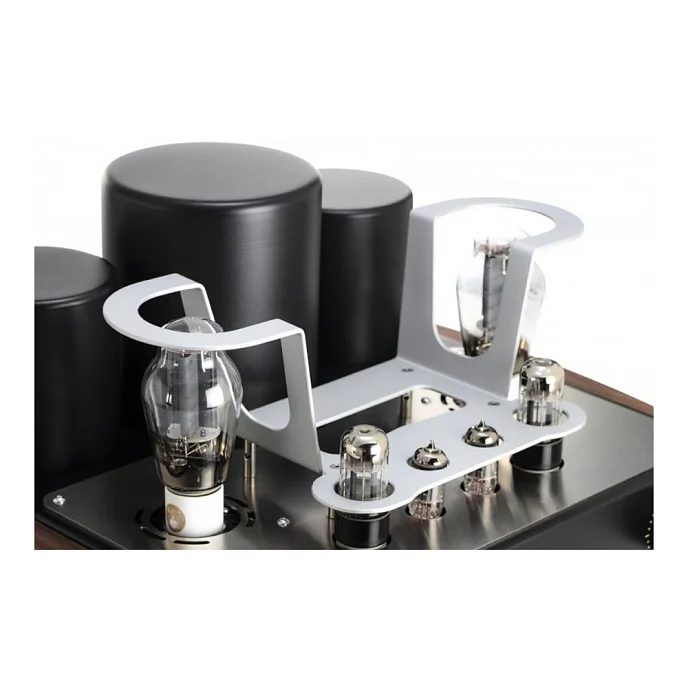 Интегральный усилитель Mastersound Compact 300B Black Wood - рис.4