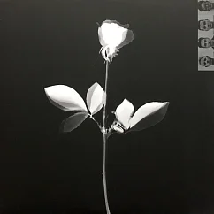 Виниловая пластинка Depeche Mode – Violator LP