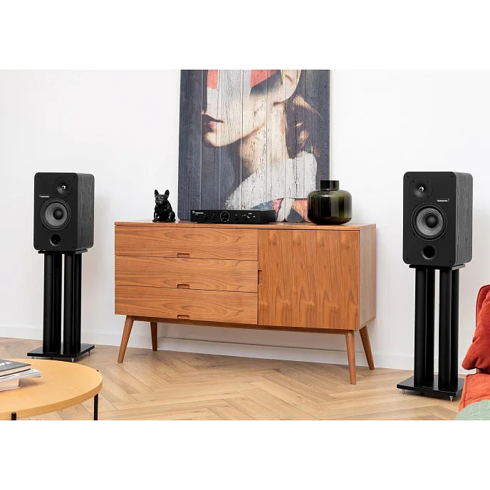 Полочная акустика Radiotehnika Sigma 1.01 Black Ash - рис.9