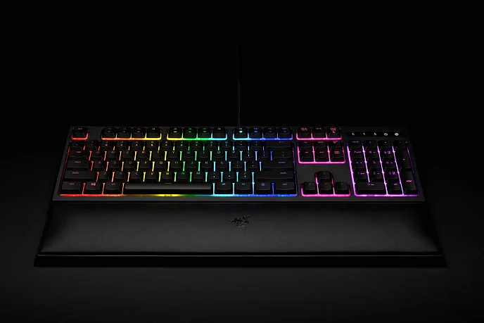 Клавиатура Razer Ornata Chroma - рис.15