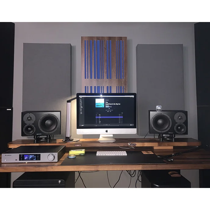 Студийный монитор Dynaudio LYD 48 Right Black - рис.5