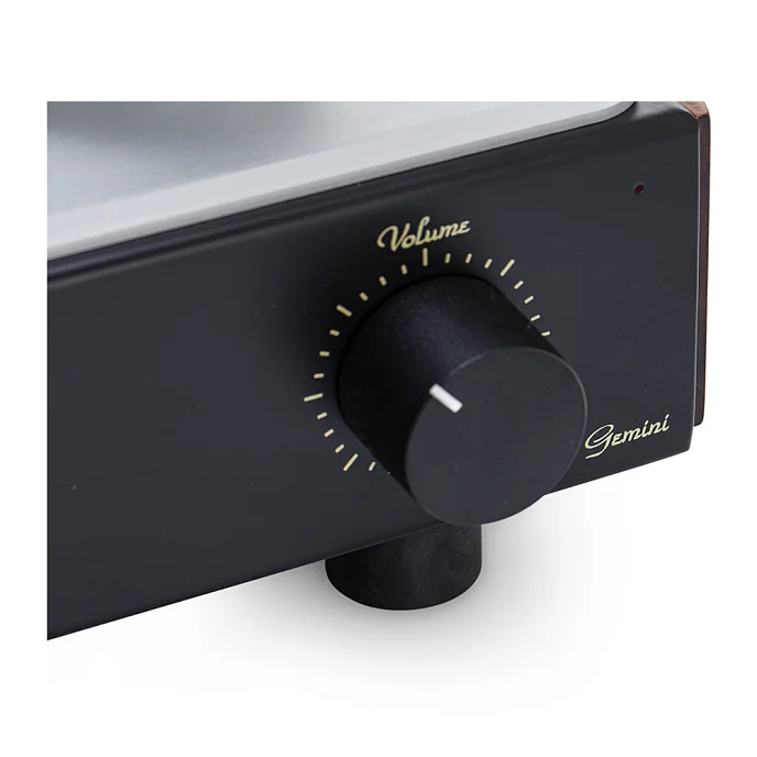 Интегральный усилитель Mastersound Gemini Black Wood - рис.4