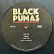 Виниловая пластинка Black Pumas - Live From Brooklyn Paramount - 2LP+CD - рис.10