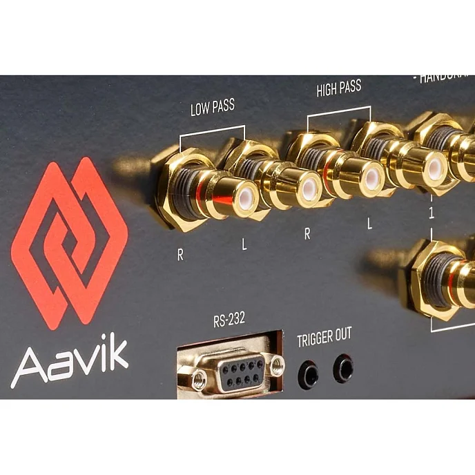 Интегральный усилитель Aavik I-880 Black - рис.10