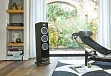 Напольная акустика Focal Theva N2 Dark Wood - рис.4