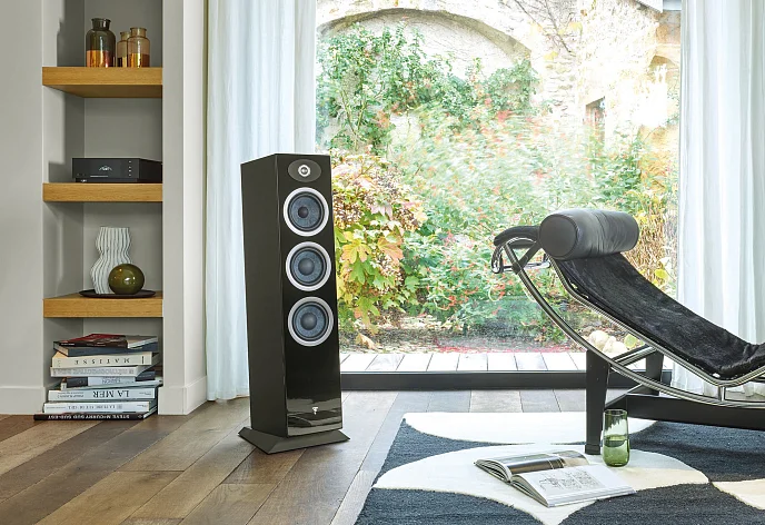Напольная акустика Focal Theva N2 Dark Wood - рис.4