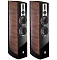 Dali Epicon 6 Walnut
