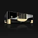 Усилитель мощности MBL N21 Stereo Power Amplifier Piano Black Gold - рис.1