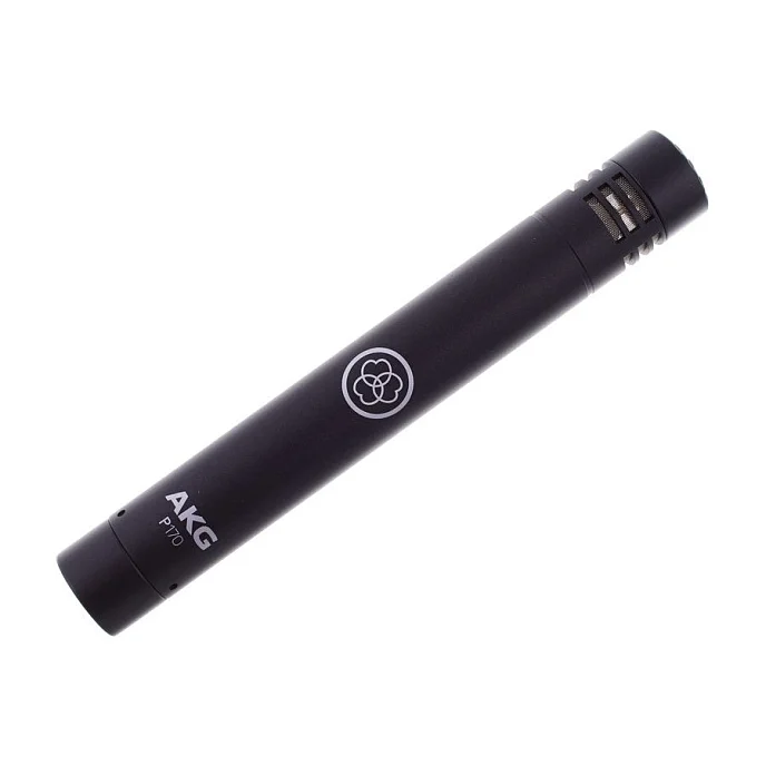 Микрофон студийный AKG P170 - рис.2