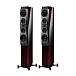 Напольная акустика Dynaudio Confidence 60 Ruby Wood High Gloss - рис.0 Напольная акустика Dynaudio Confidence 60 Ruby Wood High Gloss - рис.0