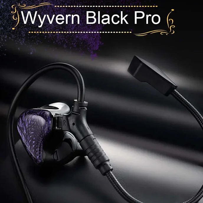 Наушники внутриканальные Celest Wyvern Pro Type-C Black - рис.1