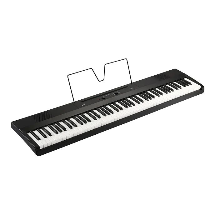 Синтезатор Korg L1 BK Black - рис.2