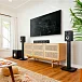Центральный канал Polk Audio Monitor XT35 Black - рис.6