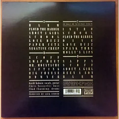 Виниловая пластинка Nirvana - Bleach - (Deluxe Edition) LP
