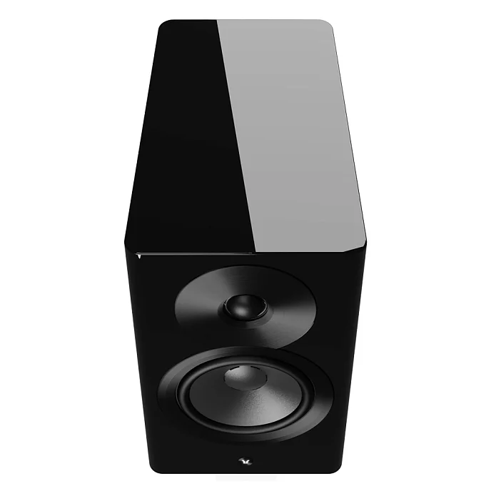 Полочная акустика Dynaudio Focus 10 Black High Gloss - рис.6