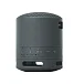 Беспроводная акустика Sony SRS-XB100 Black - рис.2