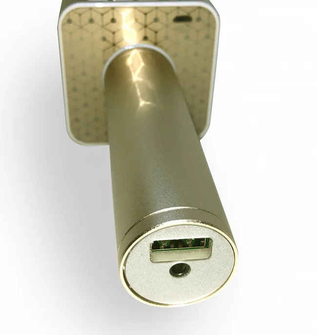 Микрофон Funtastique FM01 gold - рис.3