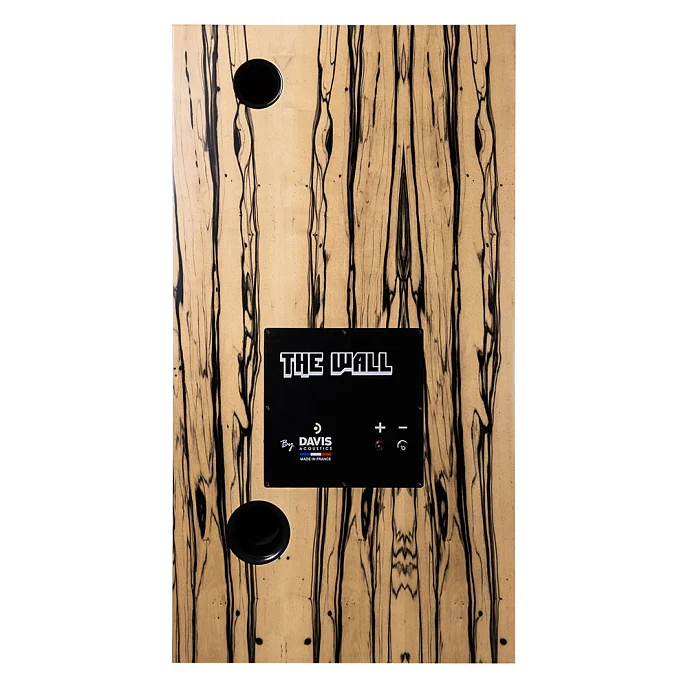 Напольная акустика Davis Acoustics THE WALL White Ebony - рис.3