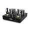 Fezz Audio Mira Ceti 300b mono Black Ice