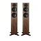 DYNAUDIO Evoke 30 Walnut Wood