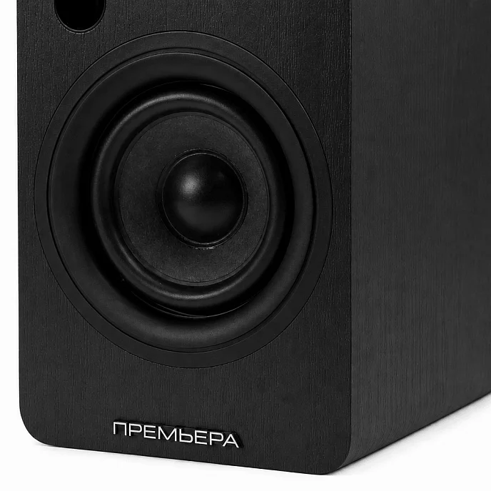 Полочная акустика Premiera RS-301A Black - рис.5