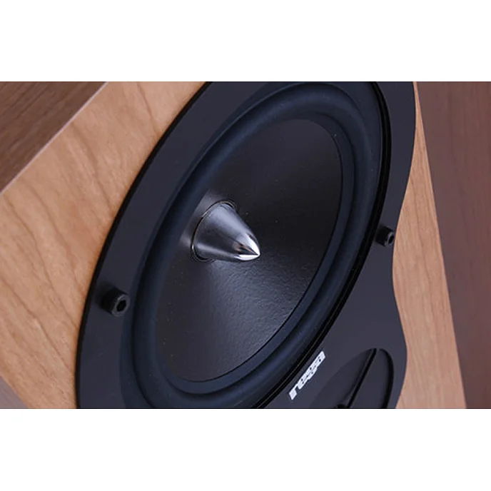 Напольная акустика Rega RX3 Cherry - рис.1