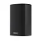Piega Ace 30 Wireless RX Black