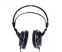 Наушники полноразмерные Audio-Technica ATH-AVC200 - рис.1
