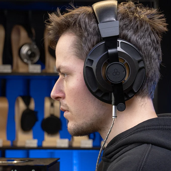 Наушники полноразмерные Final Audio D8000 Pro Limited Edition Black/Gold - рис.25