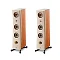 Focal Kanta N3 Ivory Mat