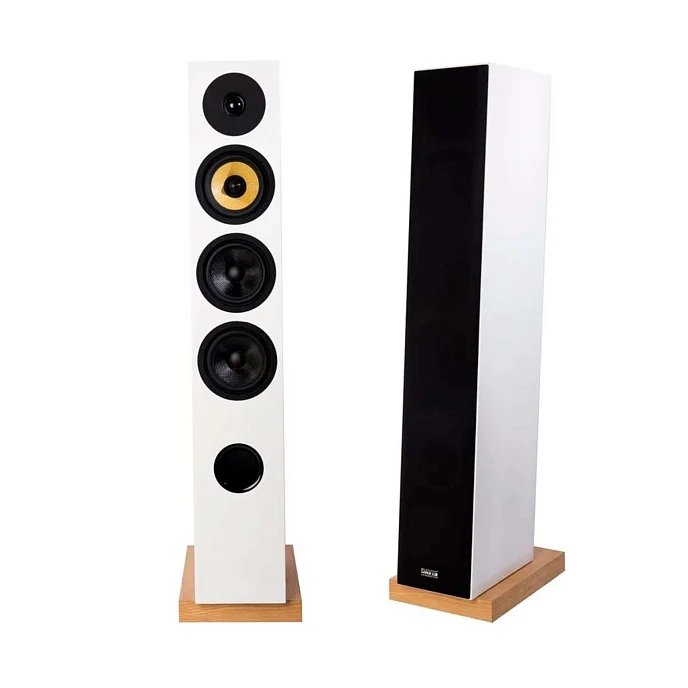 Напольная акустика Davis Acoustics Courbet N 5 White Gloss - рис.3