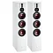 Dali Rubicon 8 White High Gloss