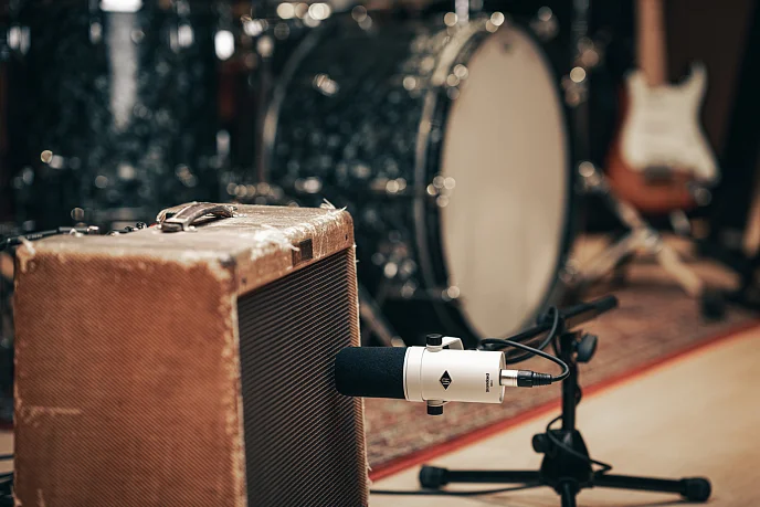 Микрофон студийный Universal Audio SD-1 - рис.11