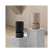 Беспроводная акустика Bang & Olufsen Beosound Balance Black Oak - рис.13 Беспроводная акустика Bang & Olufsen Beosound Balance Black Oak - рис.13